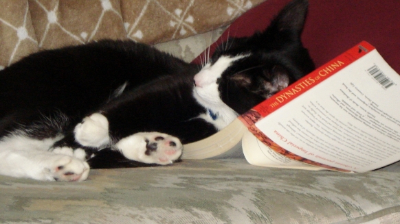 Jack fell asleep reading